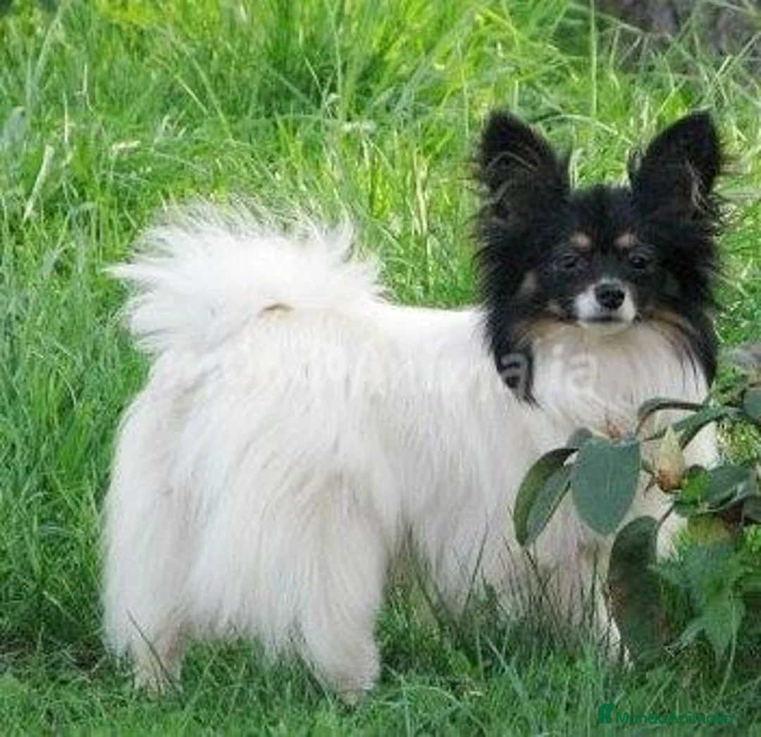 Imagen de galería {{count}}