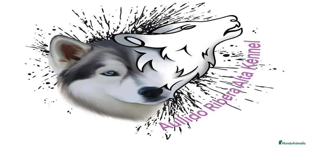 Imagen de galería {{count}}