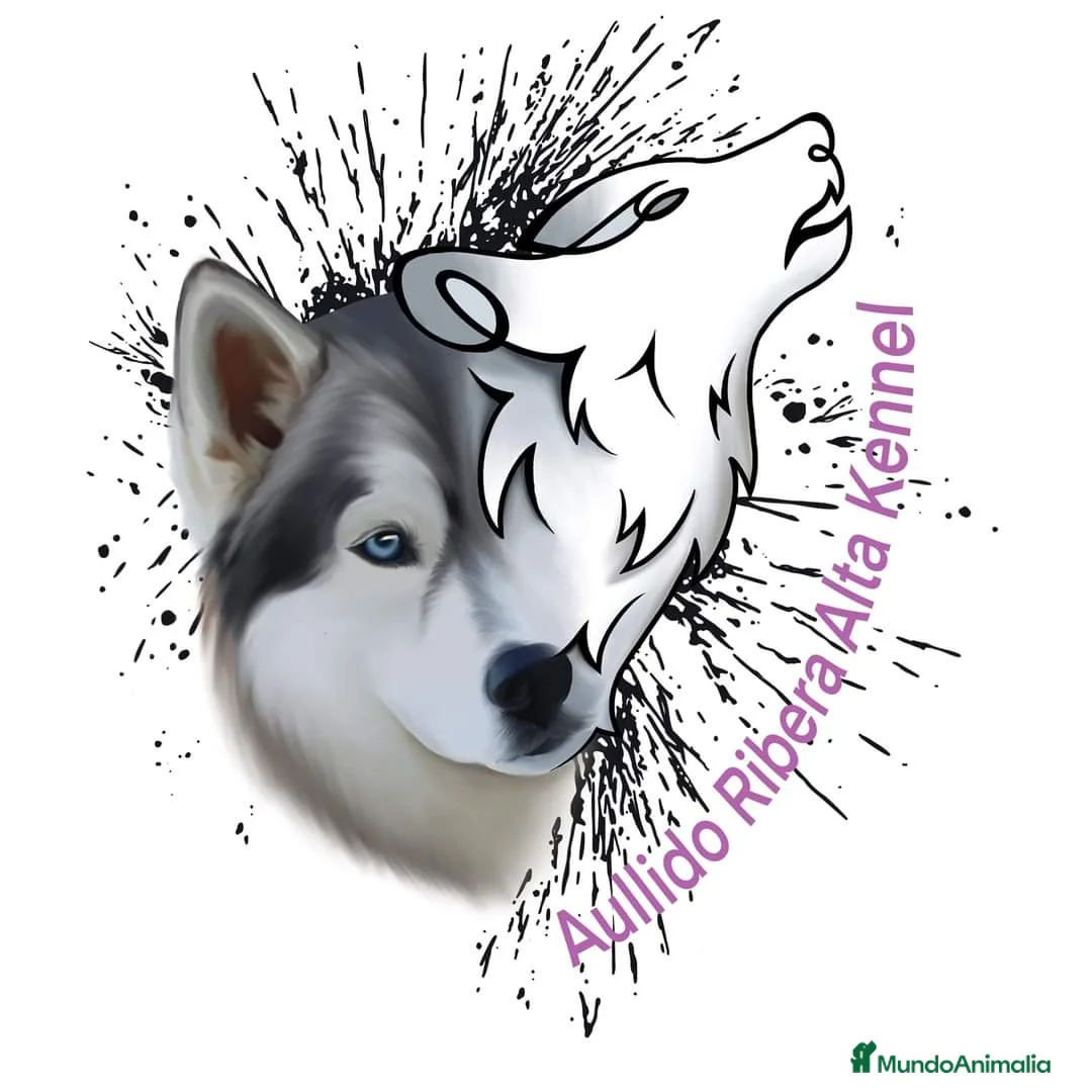 Imagen de galería {{count}}