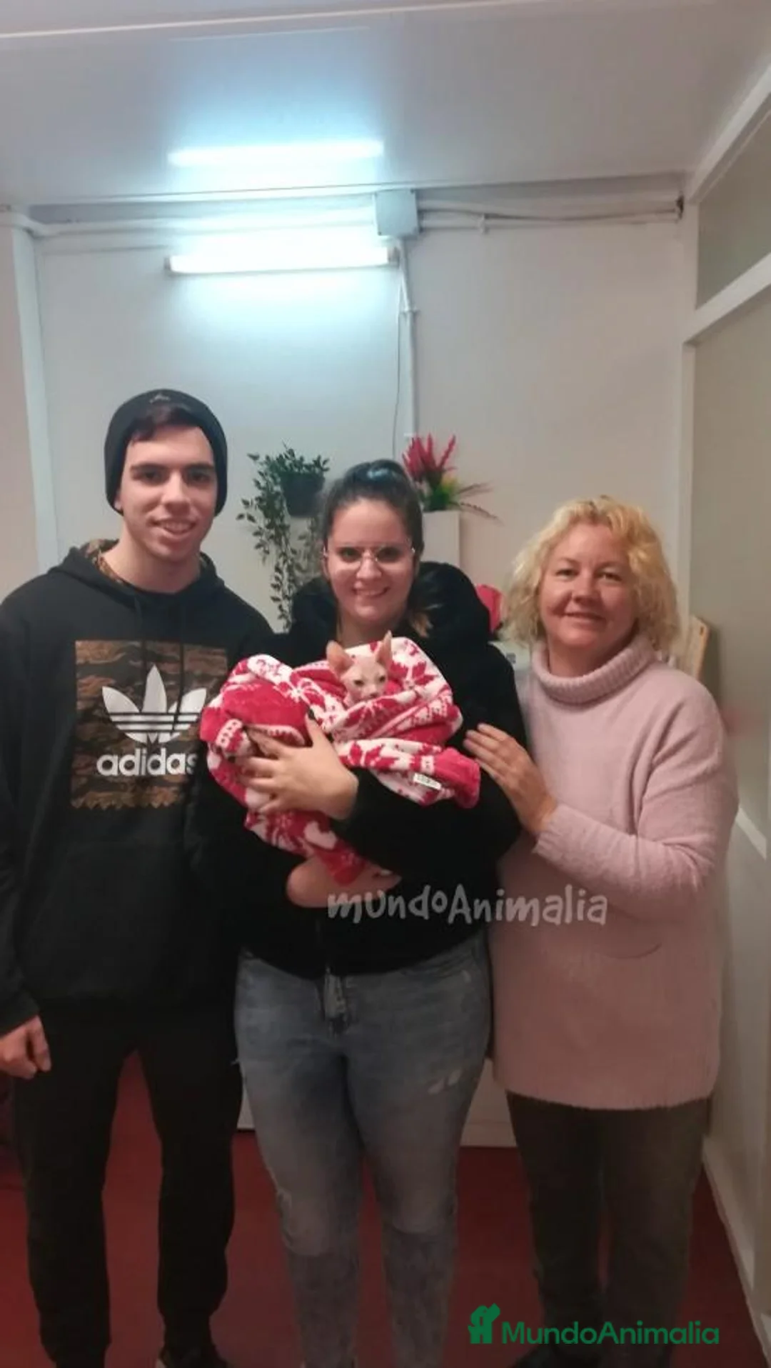 Imagen de galería {{count}}