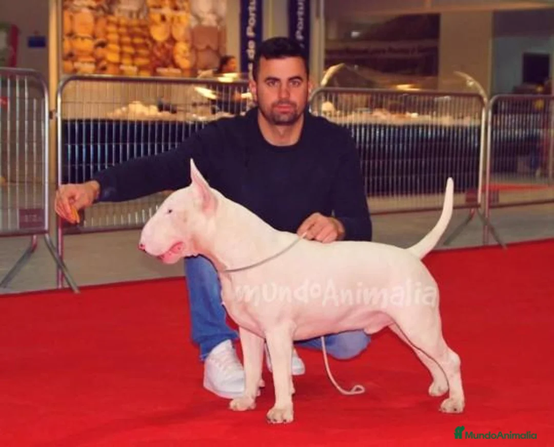 Imagen de galería {{count}}