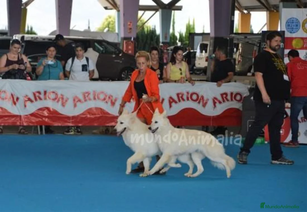 Imagen de galería {{count}}