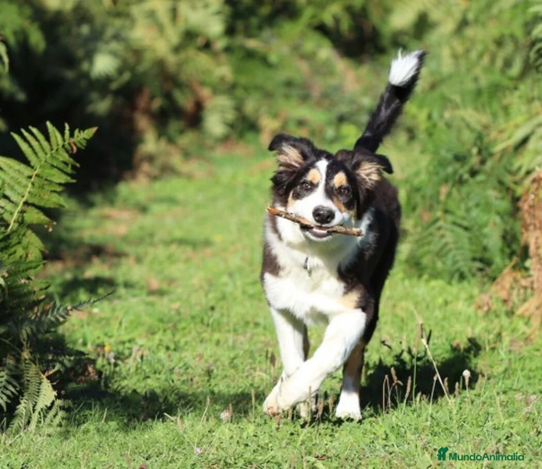 Imagen de galería {{count}}