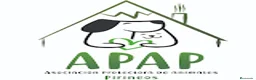 Raza Mixta perros en adopcion: THOR busca hogar - Anuncio 4