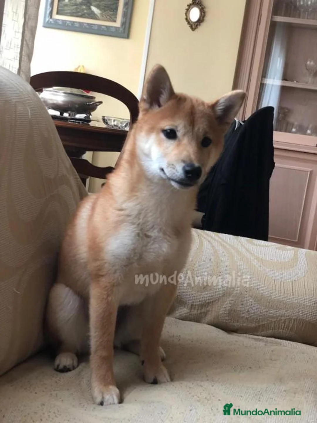 Imagen de galería {{count}}