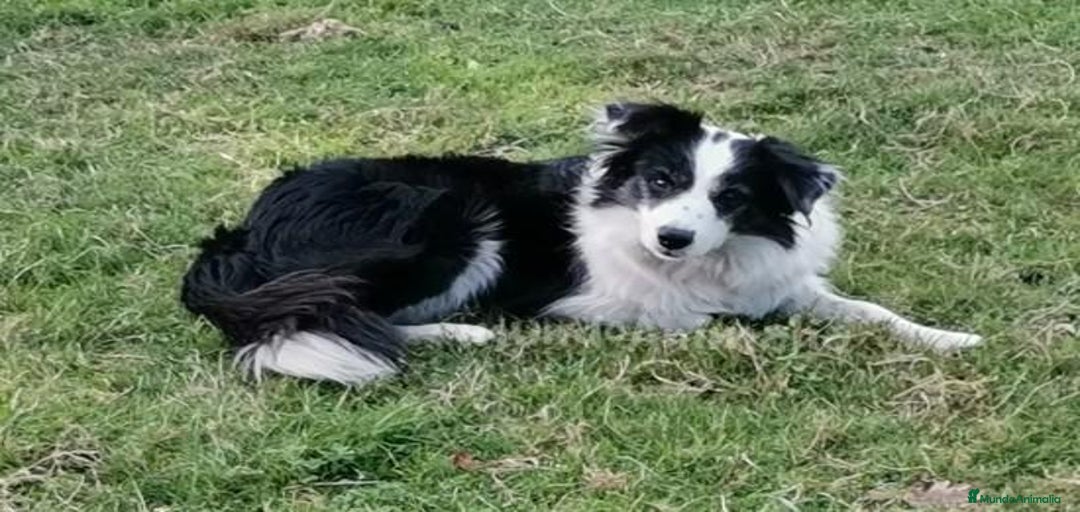 Imagen de galería {{count}}