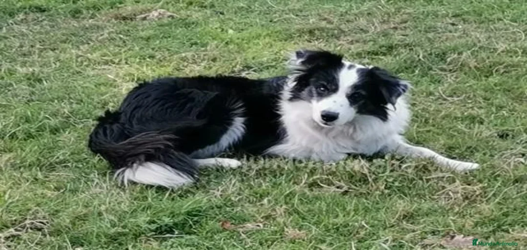 Imagen de galería {{count}}