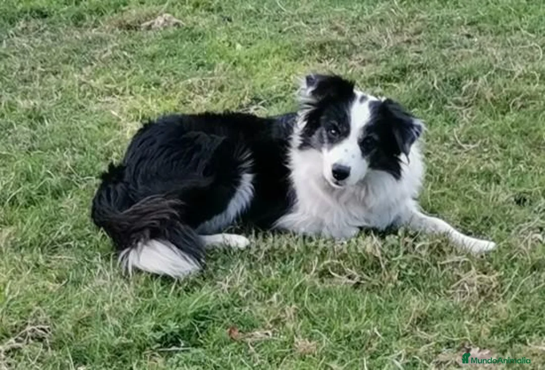 Imagen de galería {{count}}