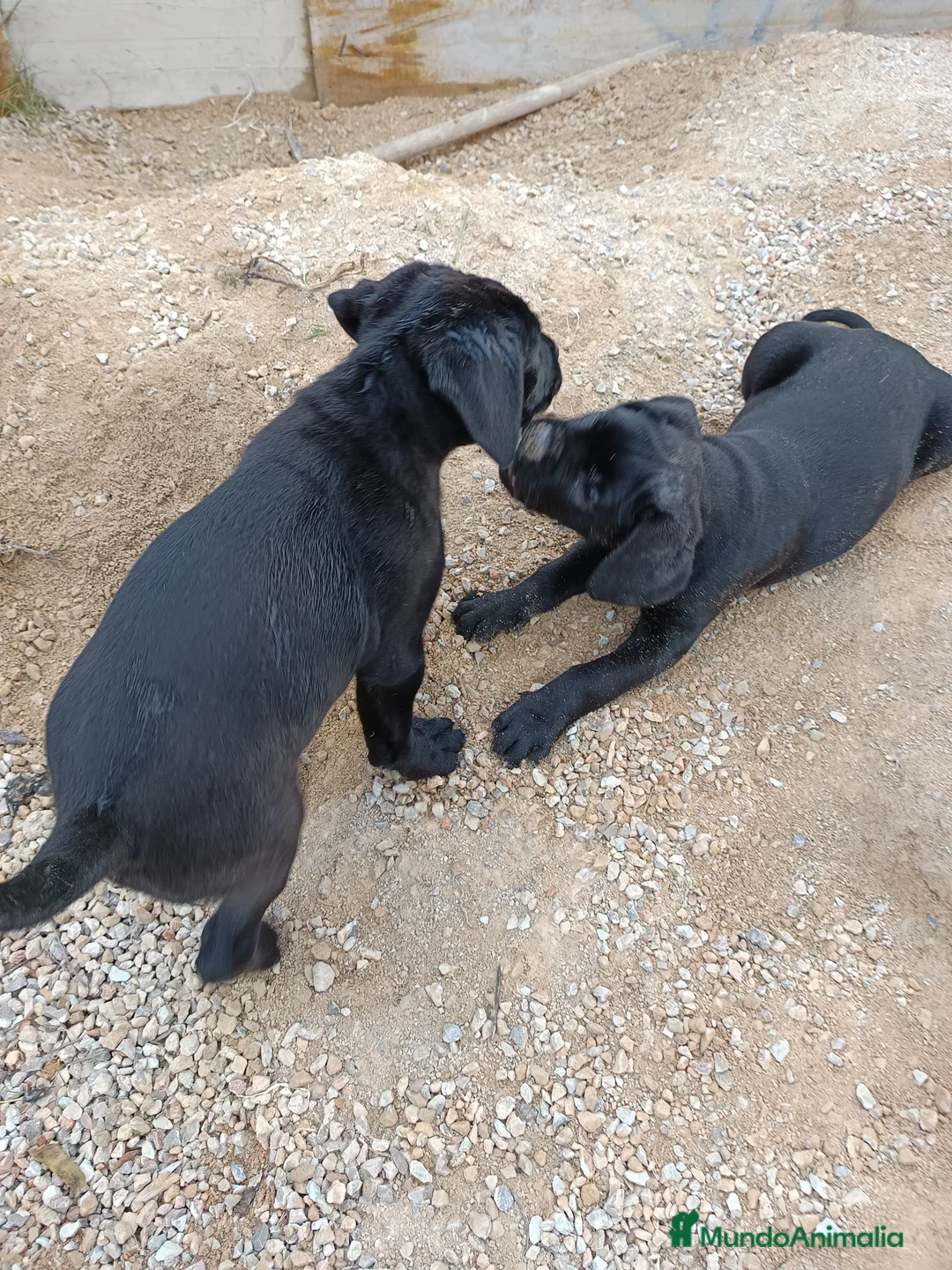 Imagen de galería {{count}}