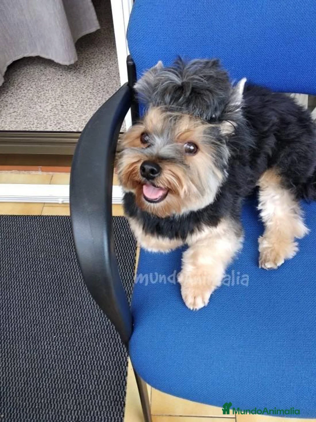 Imagen de galería {{count}}