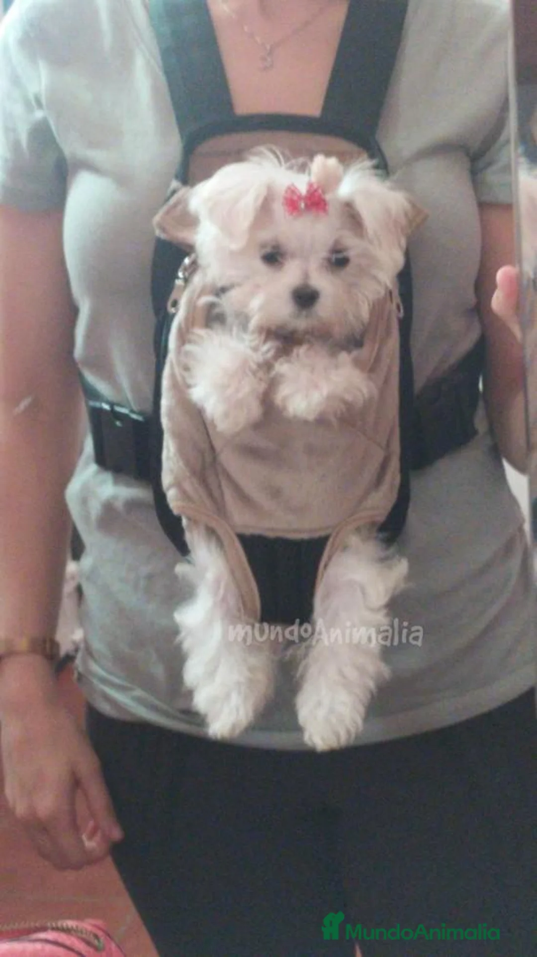 Imagen de galería {{count}}