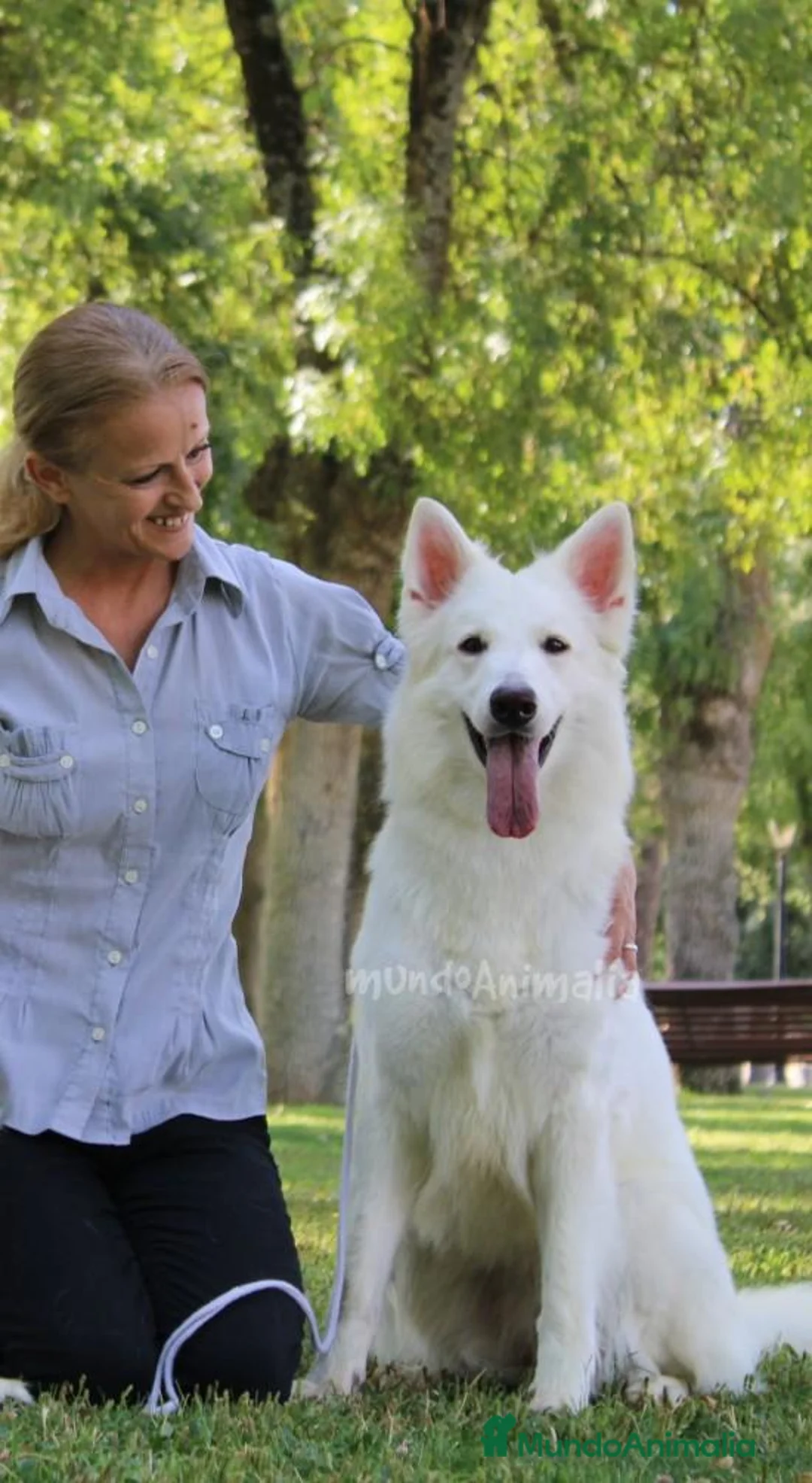 Imagen de galería {{count}}