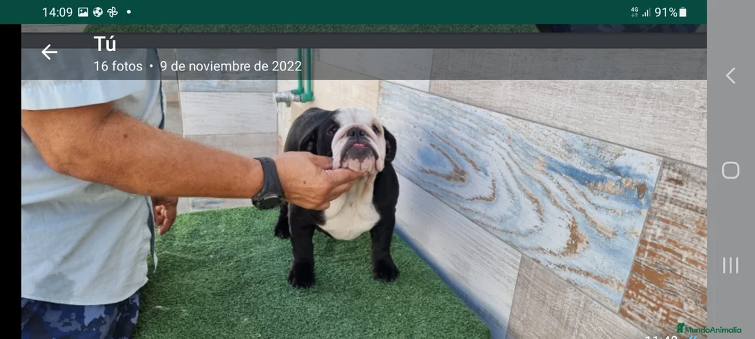 Imagen de galería {{count}}