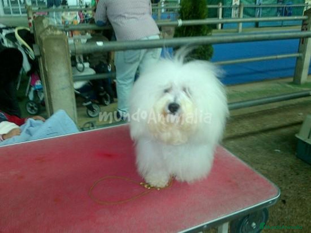 Imagen de galería {{count}}