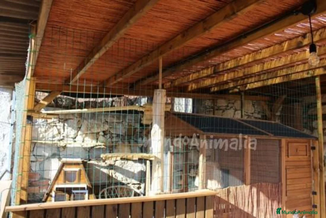 Imagen de galería {{count}}