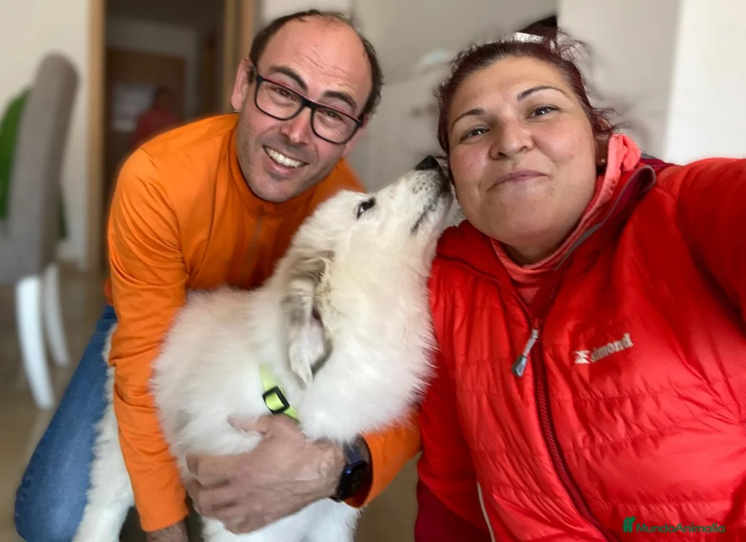 Imagen de galería {{count}}