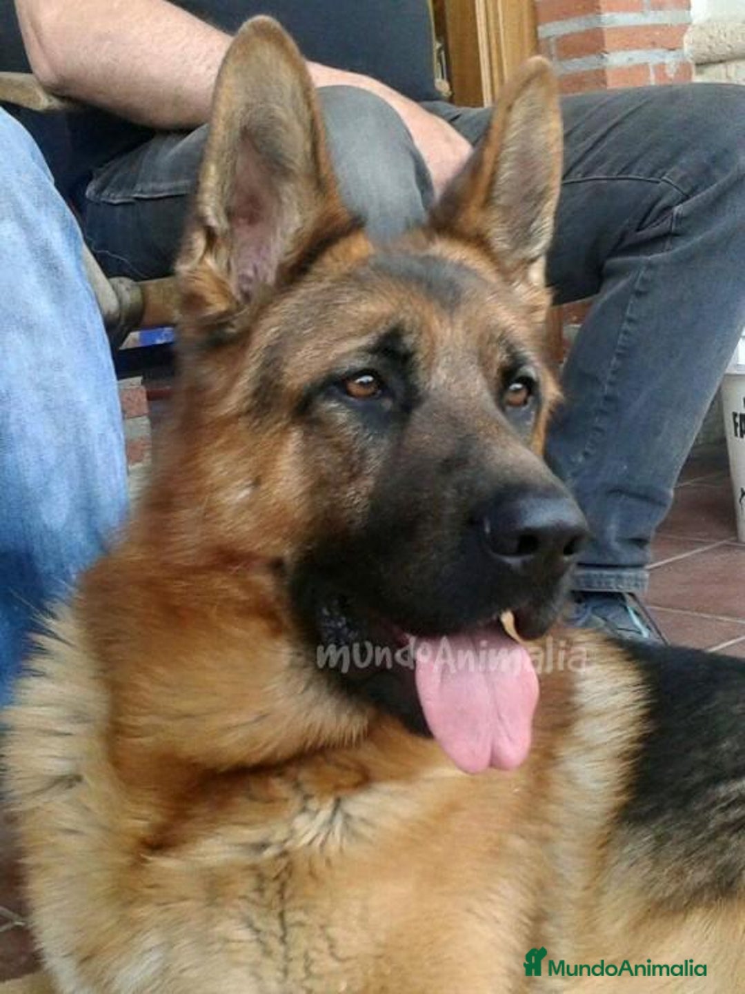 Imagen de galería {{count}}