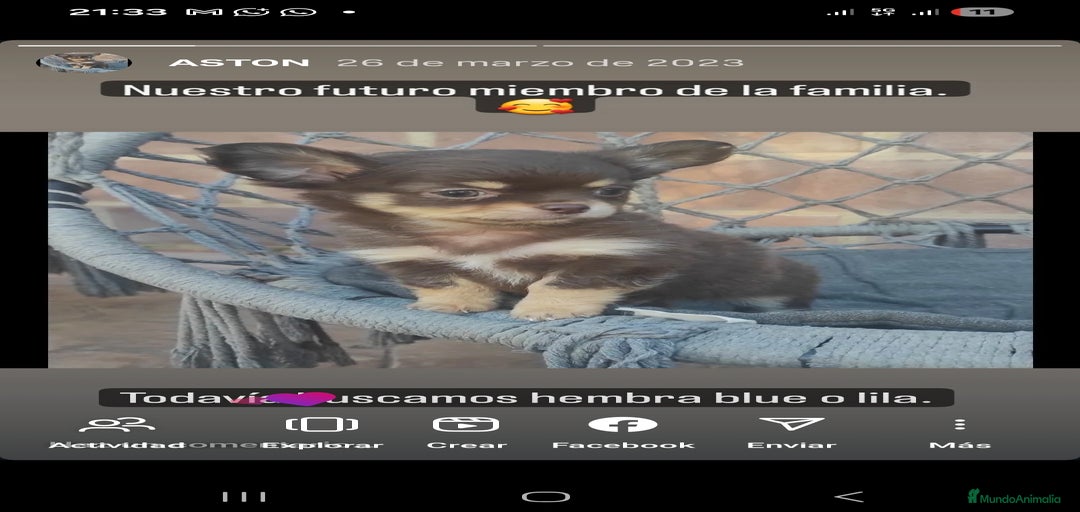 Imagen de galería {{count}}