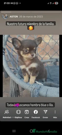 Imagen de galería {{count}}