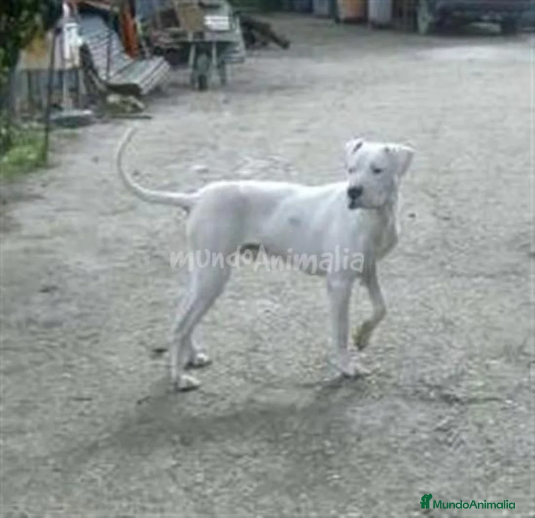 Imagen de galería {{count}}