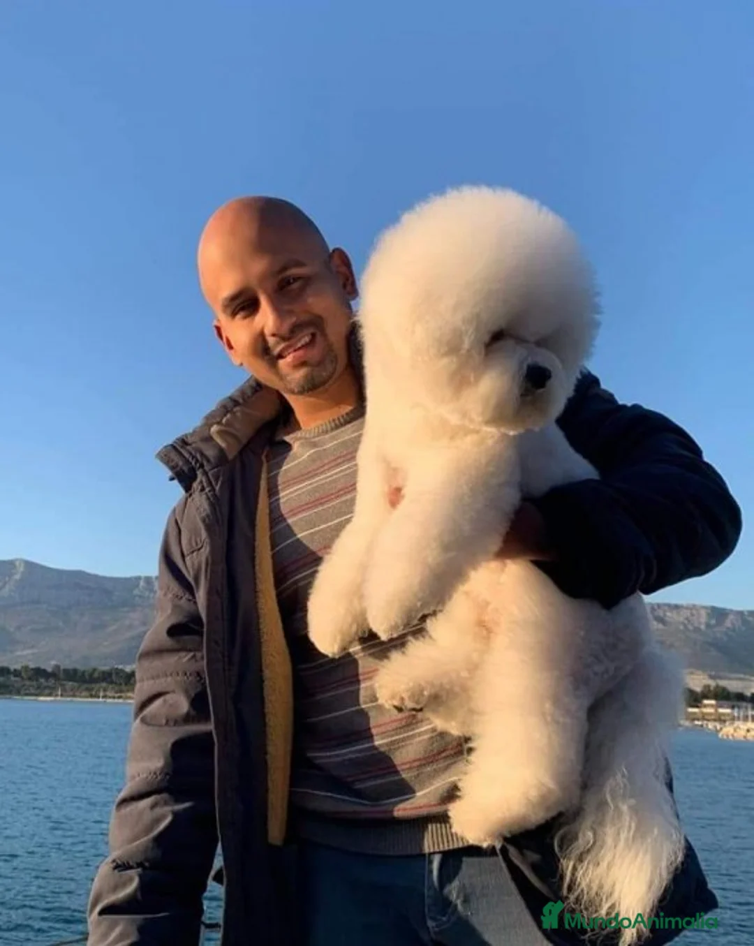 Imagen de galería {{count}}