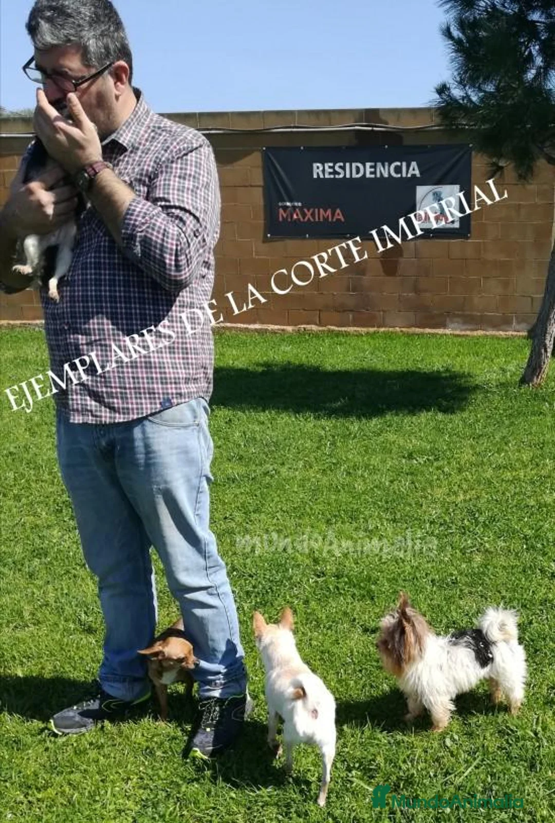 Imagen de galería {{count}}