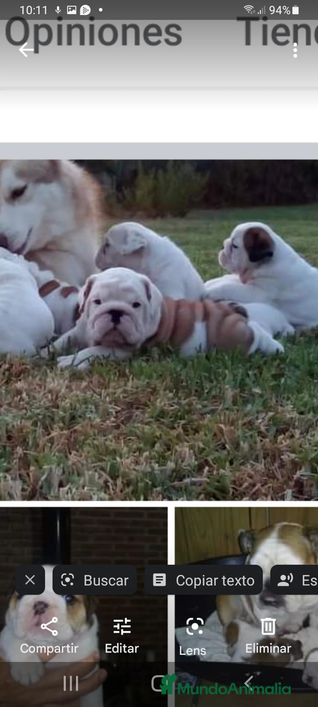 Imagen de galería {{count}}