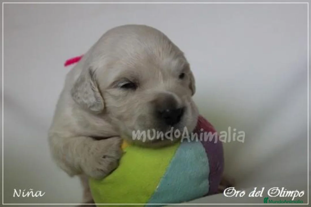 Imagen de galería {{count}}