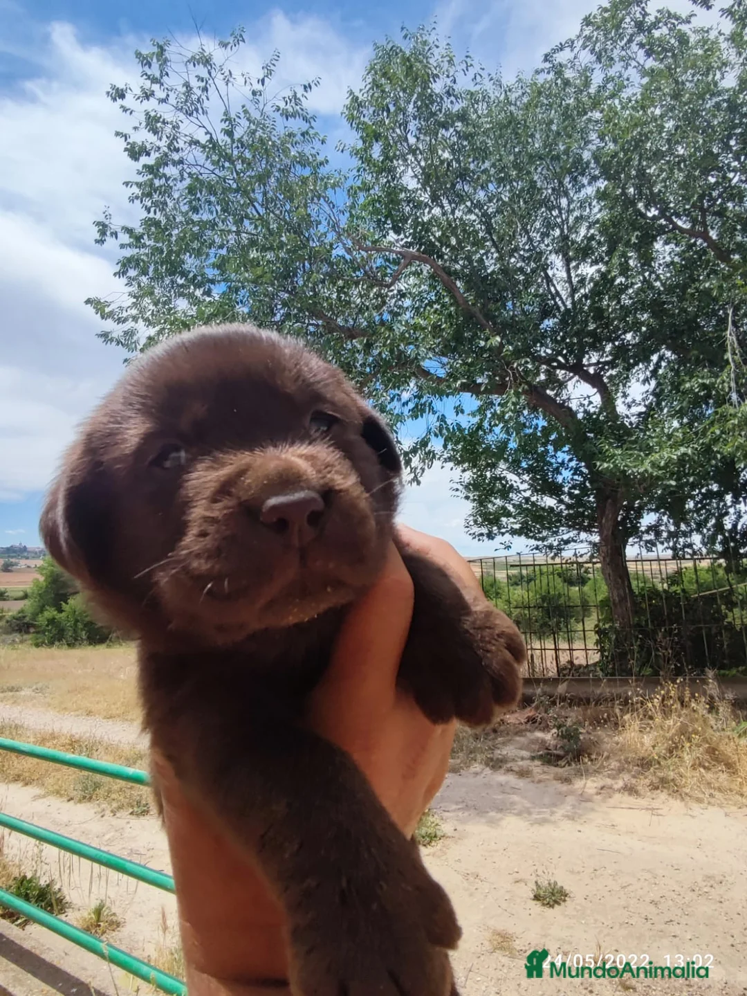 Imagen de galería {{count}}