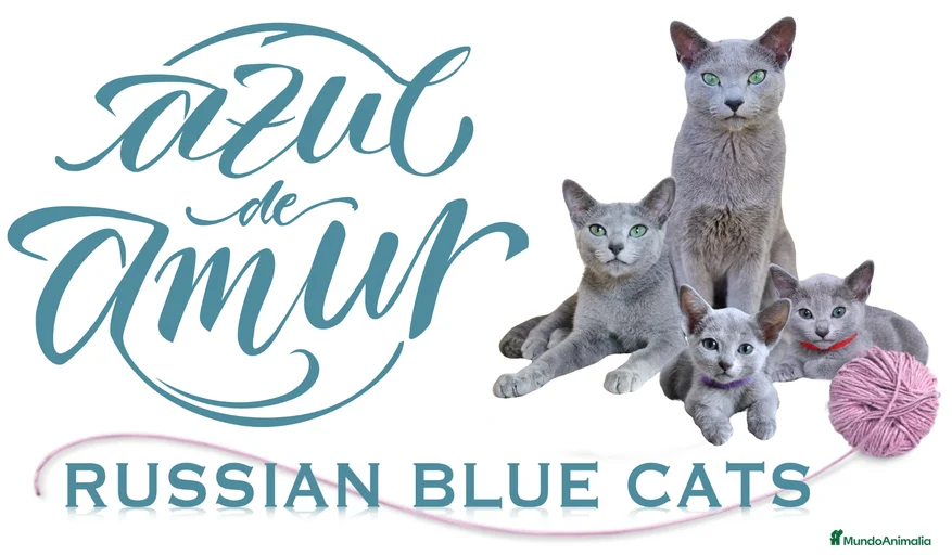 Imagen de galería {{count}}