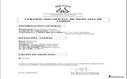 Rottweiler perros en venta: CACHORROS DE ROTTWEILER - Imagen 8