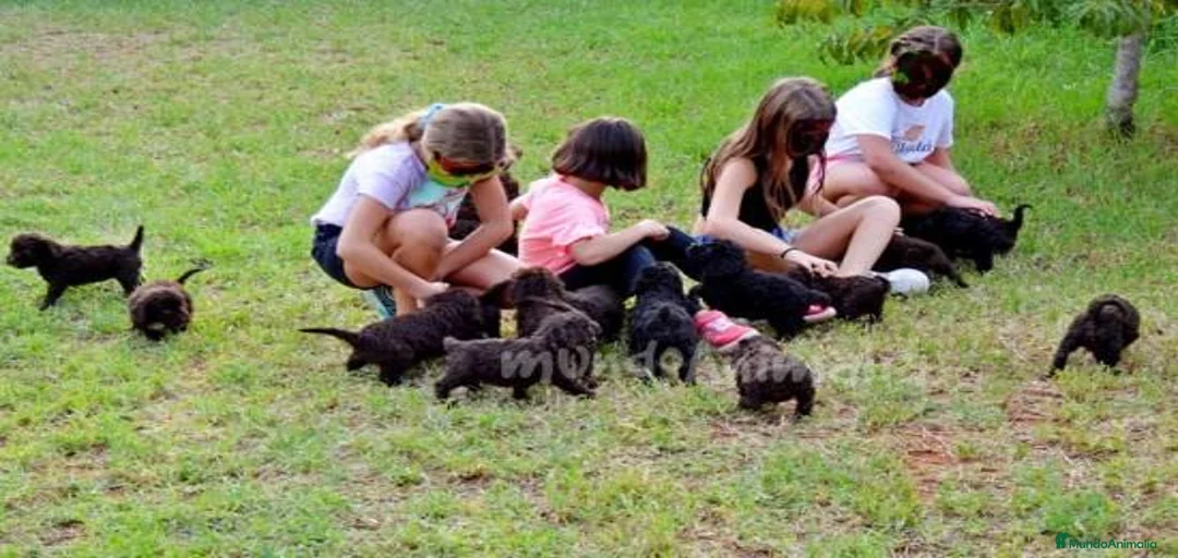 Imagen de galería {{count}}