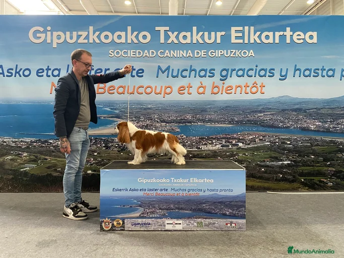 Imagen de galería {{count}}