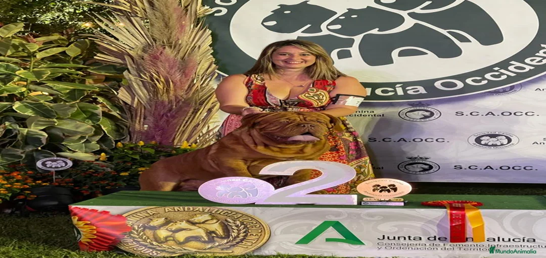 Imagen de galería {{count}}