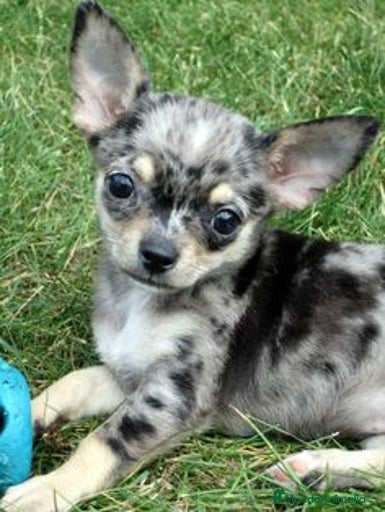 Imagen de galería {{count}}