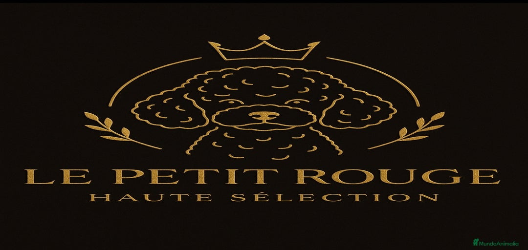 Imagen de galería {{count}}