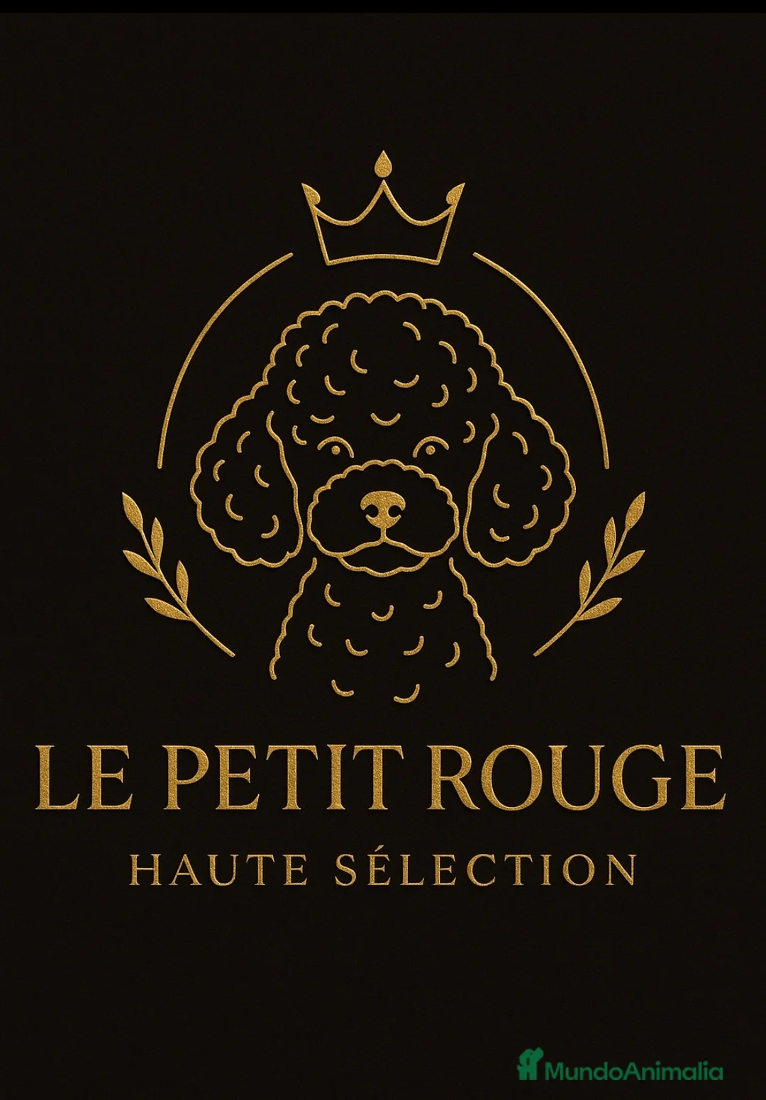 Imagen de galería {{count}}