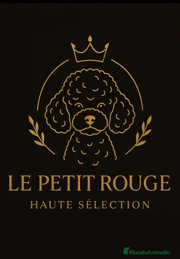 Imagen de galería {{count}}