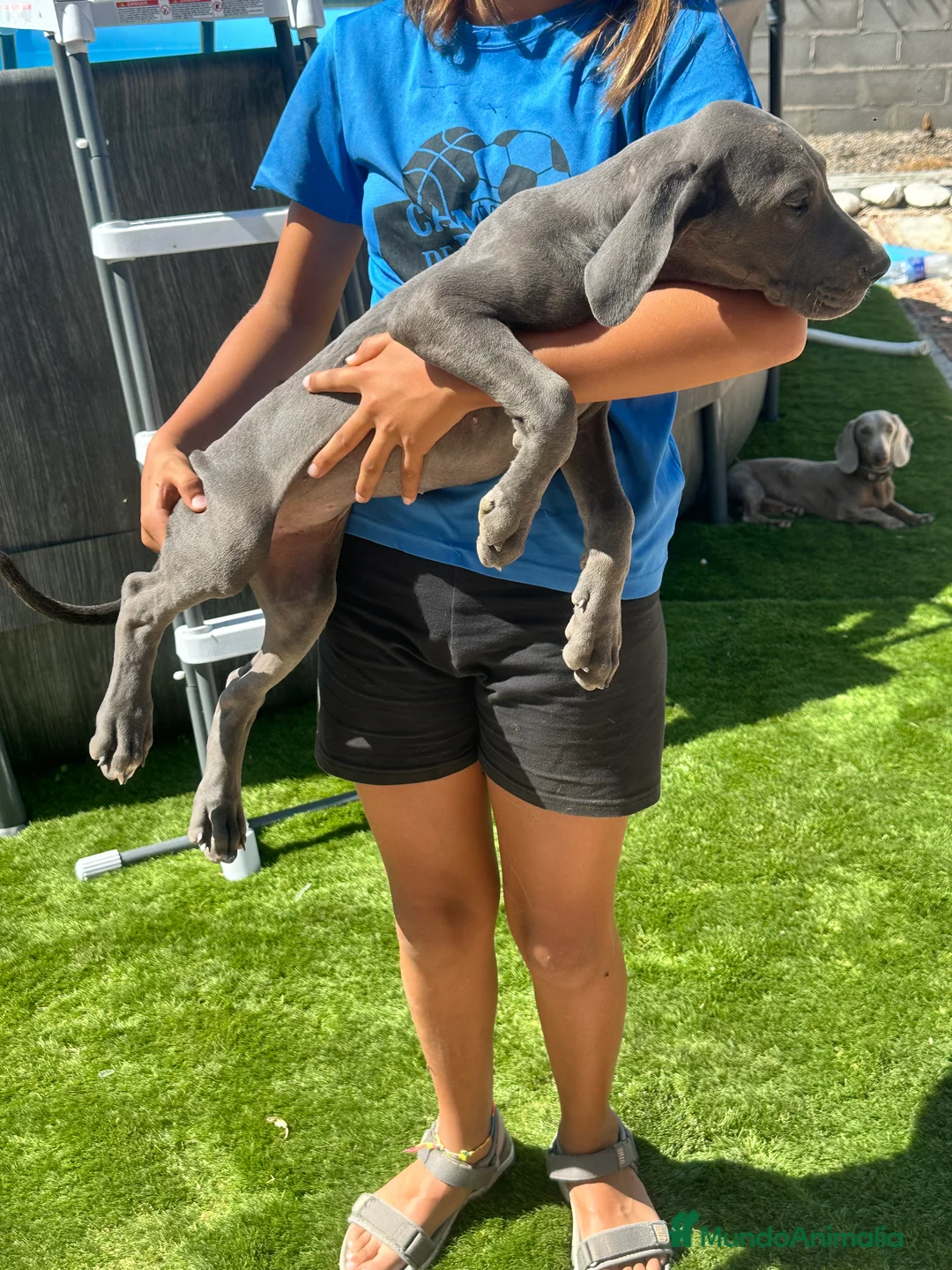 Imagen de galería {{count}}