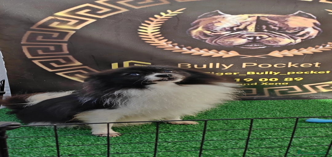 Imagen de galería {{count}}