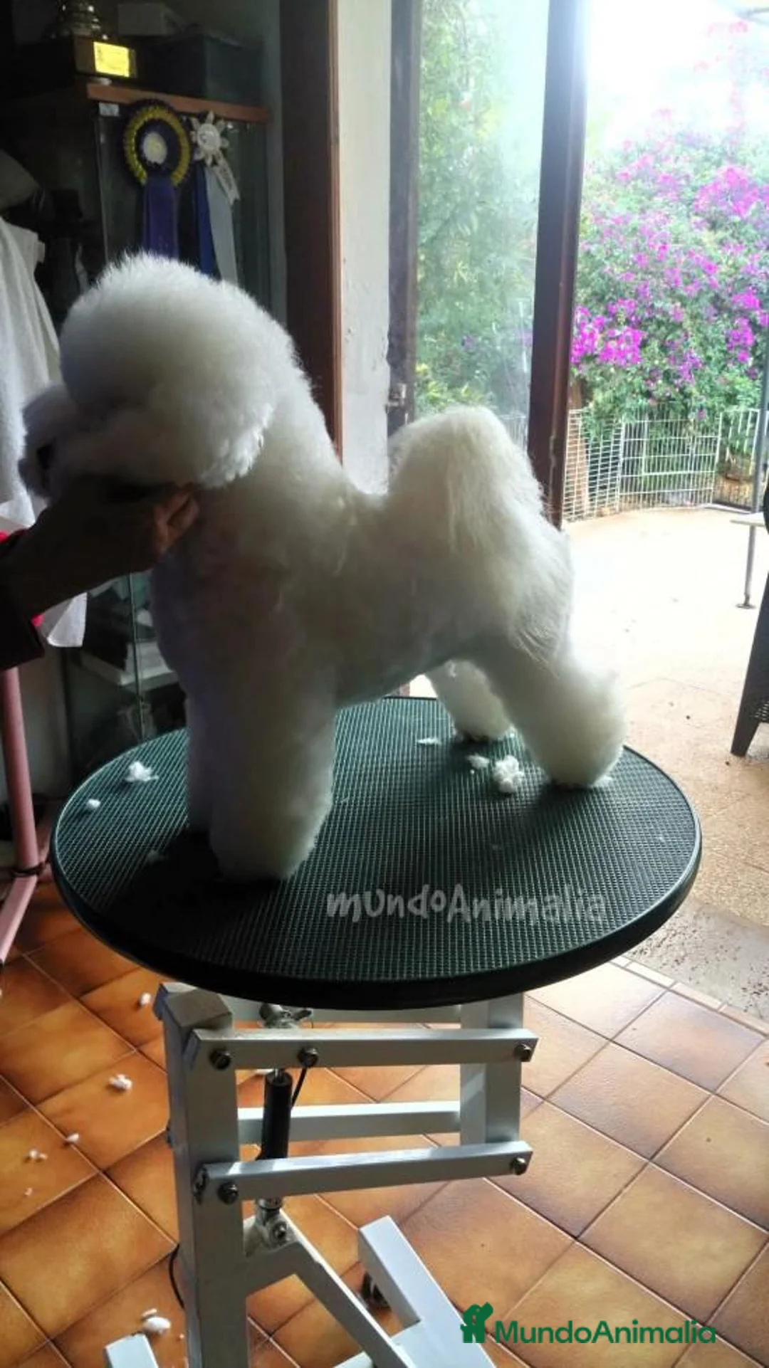 Imagen de galería {{count}}