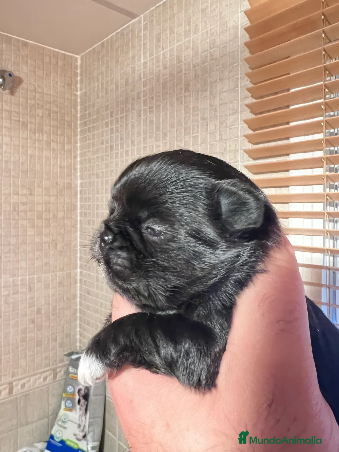 Imagen de galería {{count}}