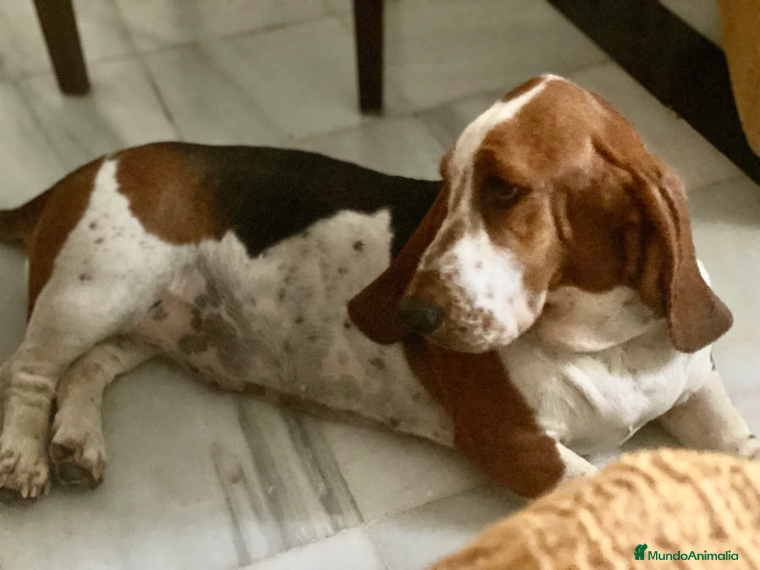 Imagen de galería {{count}}