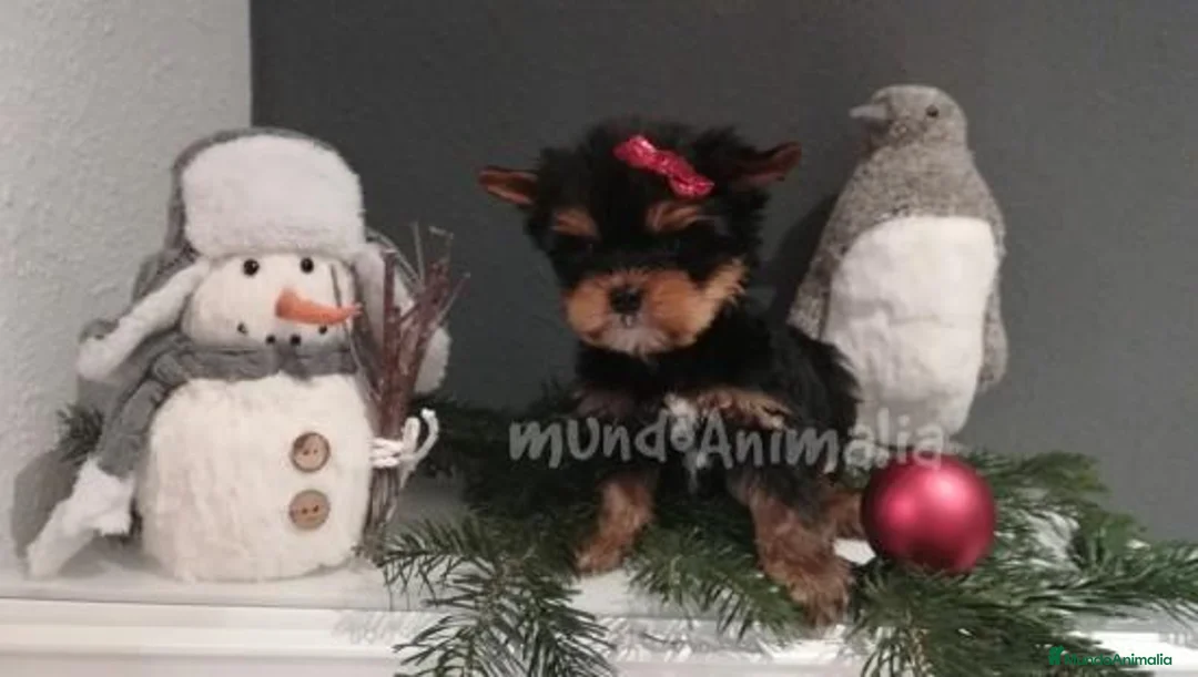 Imagen de galería {{count}}