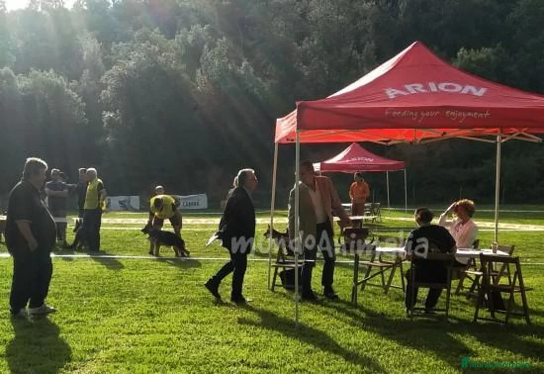 Imagen de galería {{count}}