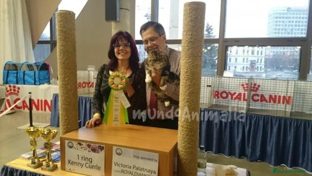 Imagen de galería {{count}}