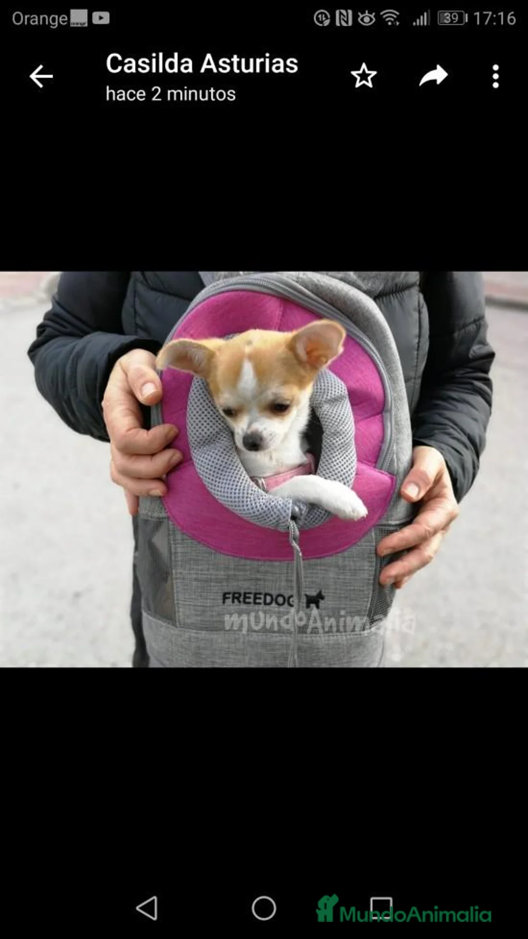 Imagen de galería {{count}}