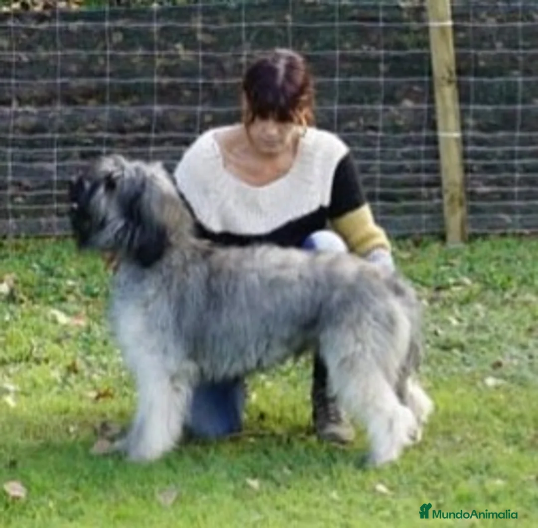 Imagen de galería {{count}}