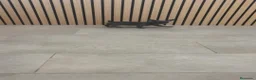 Chihuahua perros en venta: Chihuahua Toy ♂️ blue pelo corto - Anuncio 8
