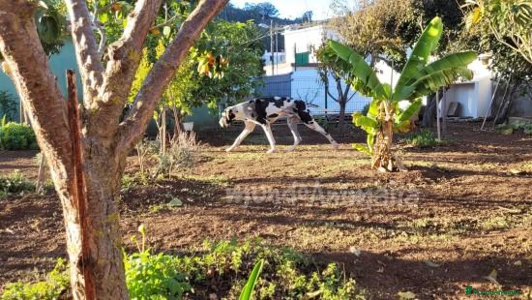 Imagen de galería {{count}}